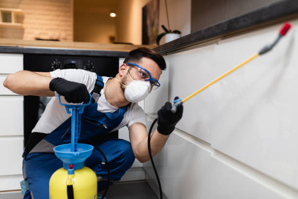 Best Exterminator Services  in Warren Park, IN