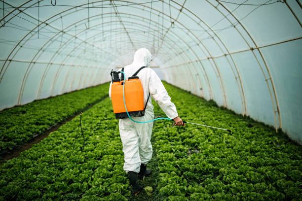 Pest Control for Restaurants in Warren Park, IN