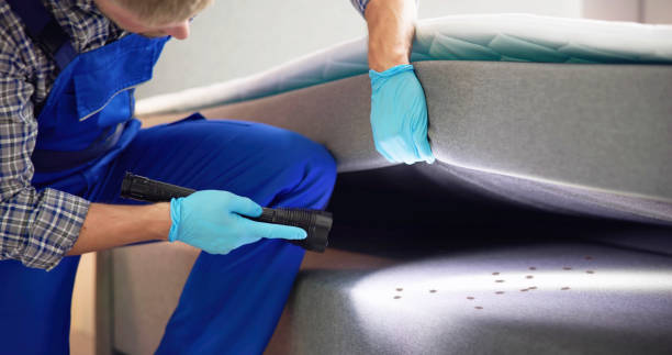 Best Mosquito Control Services  in Warren Park, IN
