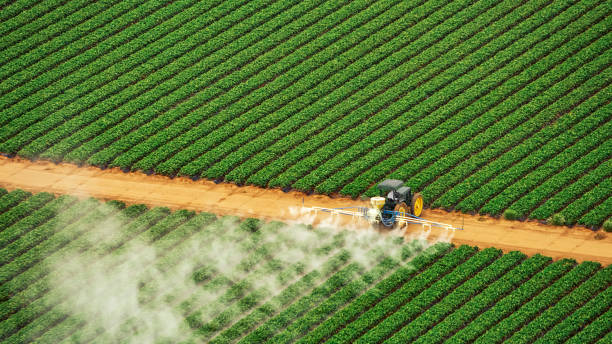 Best Commercial Pest Control Services  in Warren Park, IN