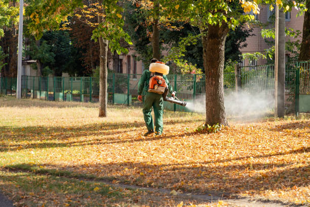Best Affordable Pest Control Services  in Warren Park, IN
