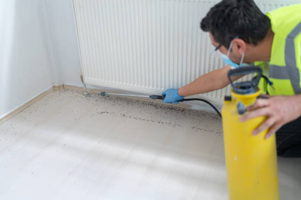 Best Local Pest Control Services  in Warren Park, IN